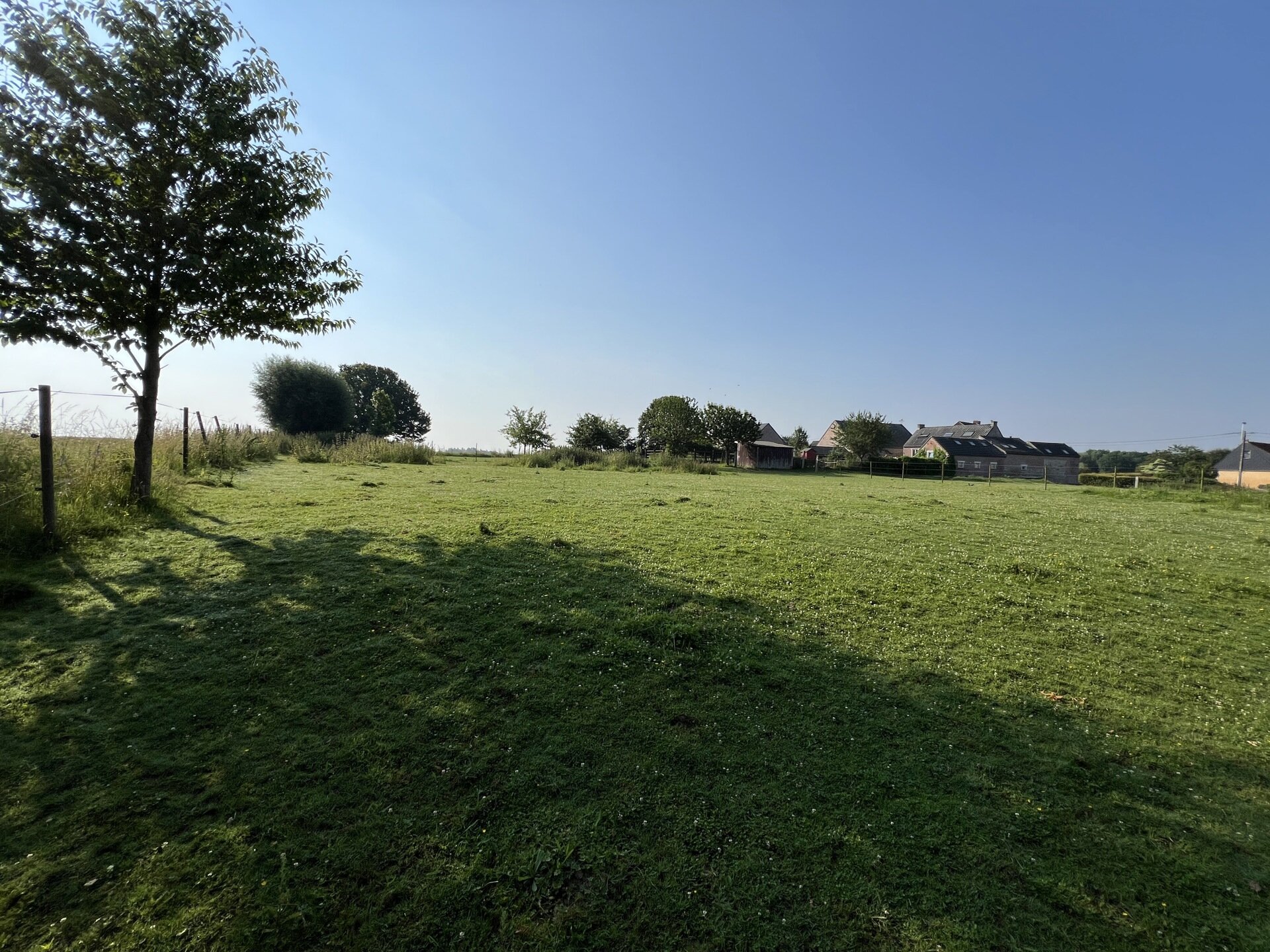 6cc67944cc074c14ad0f83a9a1efe225.jpg